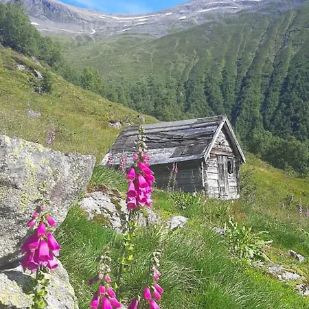Fjordpust Og Fjellsteg - * Stryn