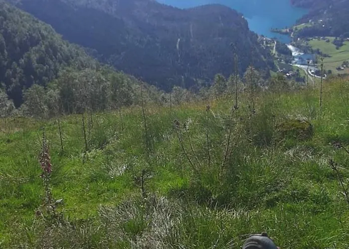 Fjordpust Og Fjellsteg - *