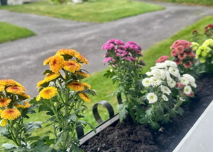 Fjordpust Og Fjellsteg - Apartament Stryn